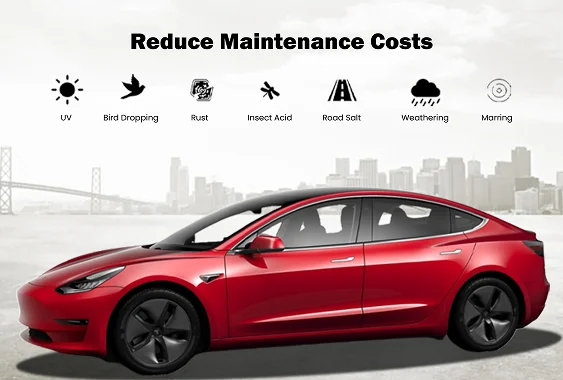 Red car shown with icons above it labeled "UV" "Bird Dropping" "Rust" "Insect Acid" and "Road Salt" illustrating common sources of paint damage. The image supports the section about reducing maintenance costs by protecting against environmental hazards.